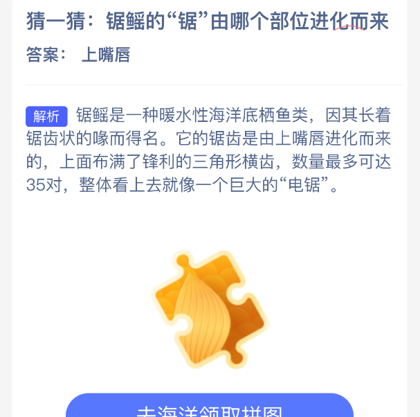 锯鳐的“锯”由哪个部位进化而来