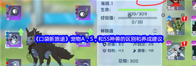 《口袋新旅途》宠物A，S，和SS神兽的区别和养成建议