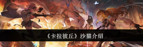 《卡拉彼丘》沙猫介绍