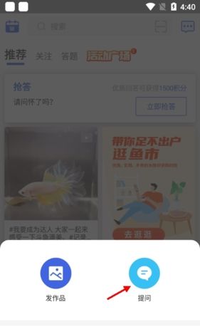 《鲲天下》发布提问方法