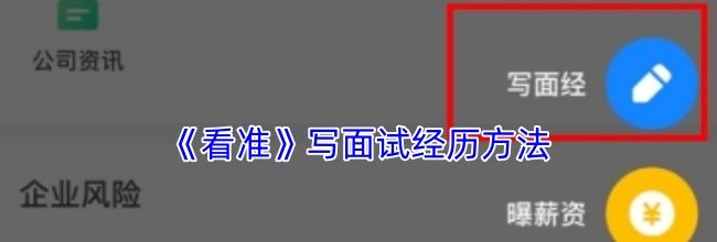 《看准》写面试经历方法