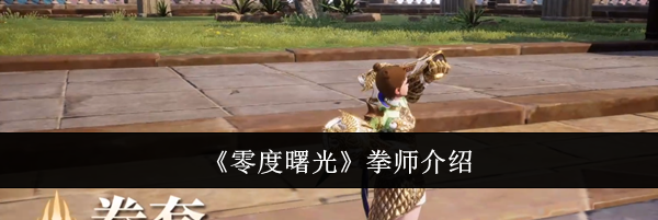 《零度曙光》拳师介绍