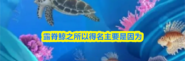 露脊鲸之所以得名主要是因为