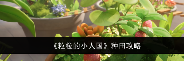 《粒粒的小人国》种田攻略