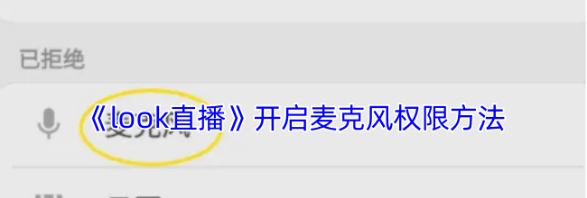 《look直播》开启麦克风权限方法