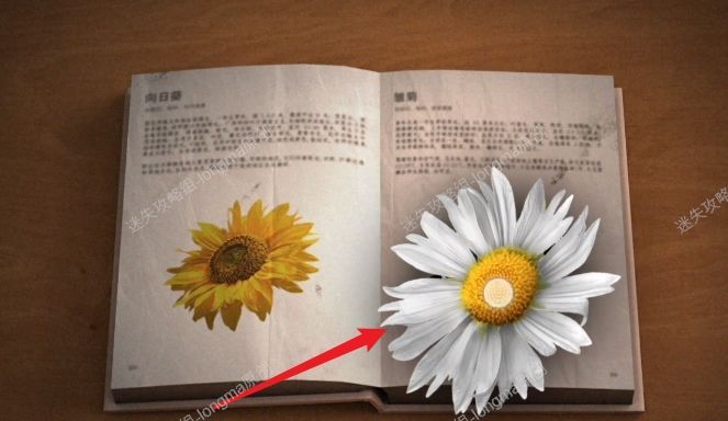 《Lost：未至之境》第二章图文攻略