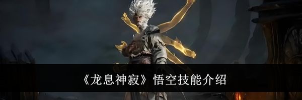 《龙息神寂》悟空技能介绍