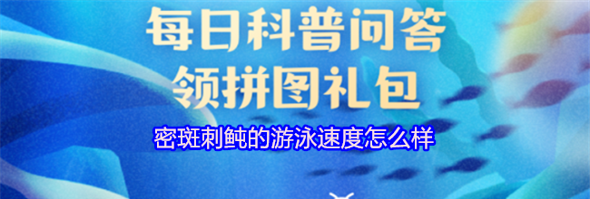 密斑刺鲀的游泳速度怎么样