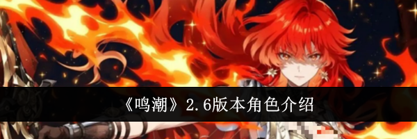 《鸣潮》2.6版本角色介绍