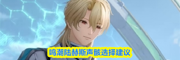 鸣潮陆赫斯声骸选择建议