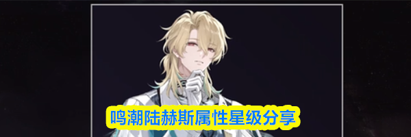 鸣潮陆赫斯属性星级分享