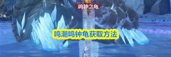 鸣潮鸣钟龟获取方法