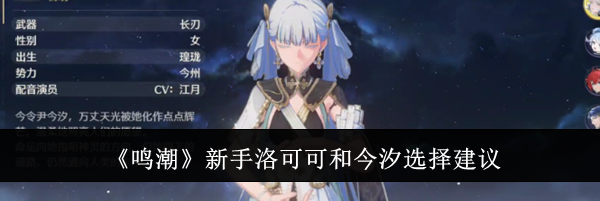 《鸣潮》新手洛可可和今汐选择建议