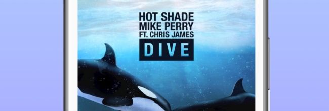 棉花音乐app歌曲源添加方法