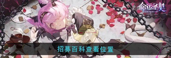 《命运圣契》招募百科查看位置