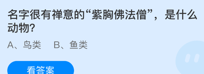 名字很有禅意的紫胸佛法僧是什么动物