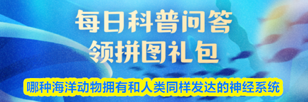 哪种海洋动物拥有和人类同样发达的神经系统
