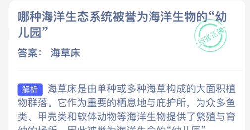 哪种海洋生态系统被誉为海洋生物的幼儿园