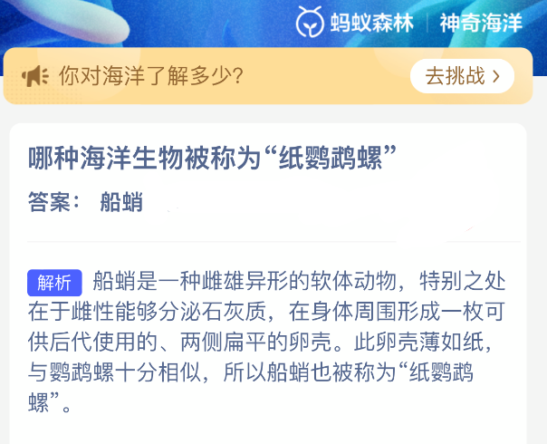 哪种海洋生物被称为纸鹦鹉螺