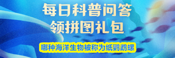 哪种海洋生物被称为纸鹦鹉螺