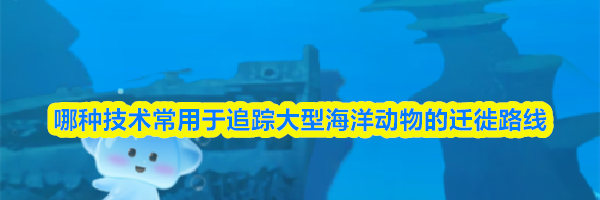 哪种技术常用于追踪大型海洋动物的迁徙路线