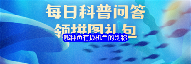 哪种鱼有扳机鱼的别称