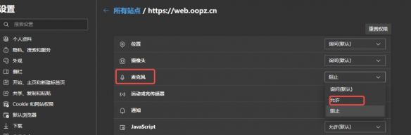 oopz网页麦克风权限开启方法