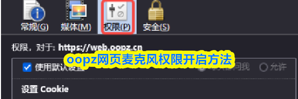 oopz网页麦克风权限开启方法