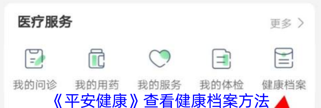 《平安健康》查看健康档案方法
