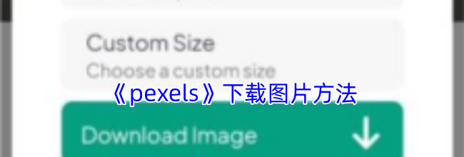 《pexels》下载图片方法