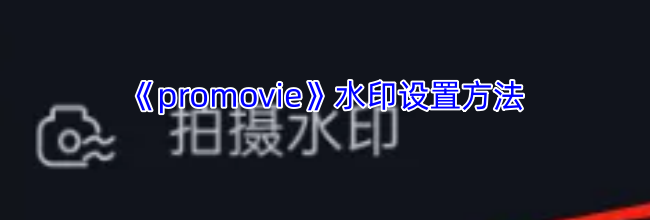 《promovie》水印设置方法