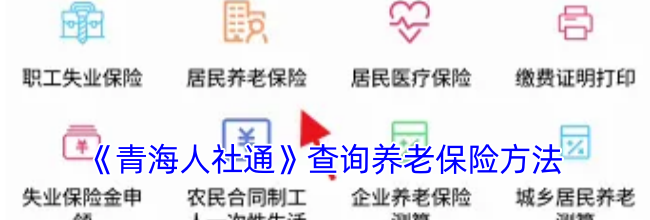 《青海人社通》查询养老保险方法
