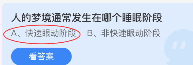 人的梦境通常发生在哪个睡眠阶段