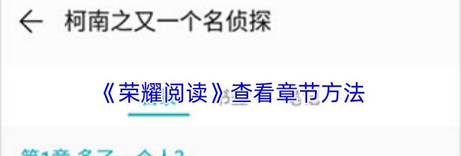 《荣耀阅读》查看章节方法