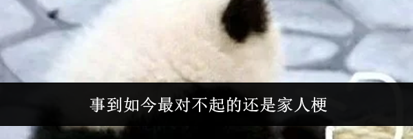 事到如今最对不起的还是家人梗