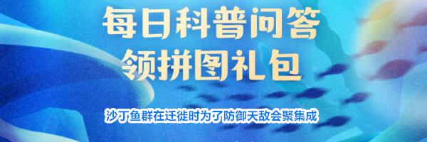 沙丁鱼群在迁徙时为了防御天敌会聚集成