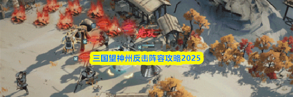 三国望神州反击阵容攻略2025