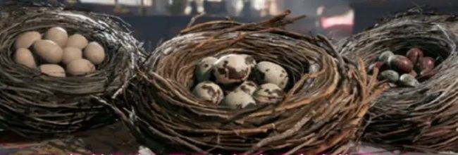 《三角洲行动》零号大坝幸运鸟窝位置2026