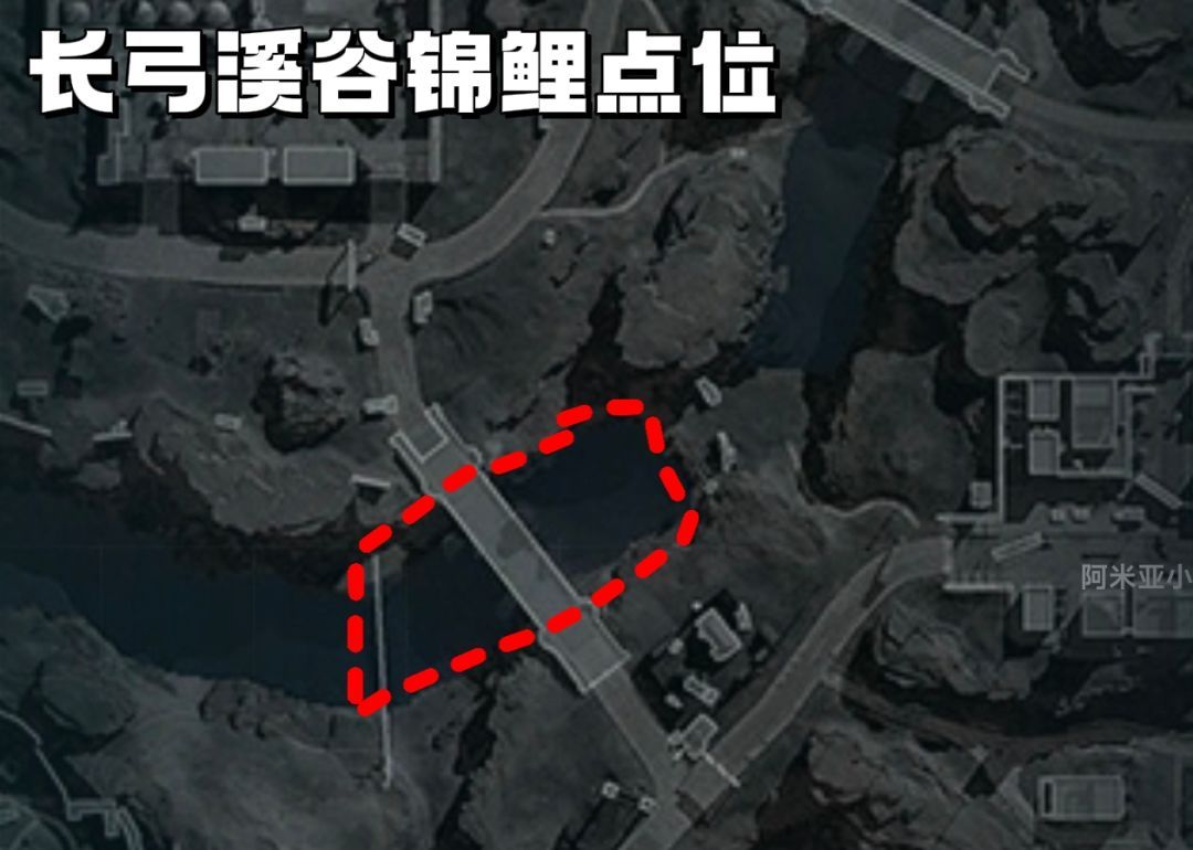 《三角洲行动》全地图锦鲤点位