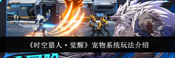《时空猎人·觉醒》宠物系统玩法介绍