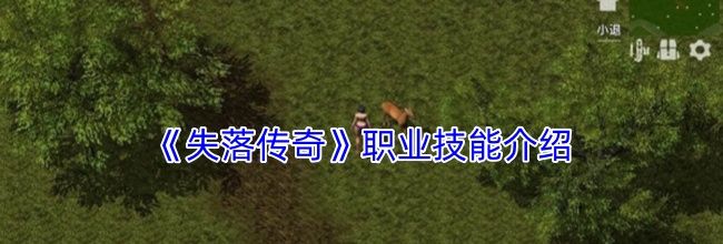 《失落传奇》职业技能介绍