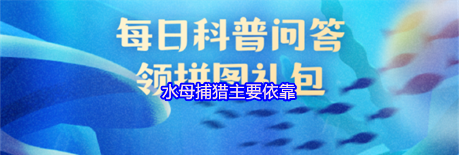 水母捕猎主要依靠