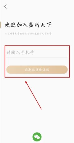 《盛行天下》账号注册方法