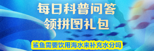 鲨鱼需要饮用海水来补充水分吗