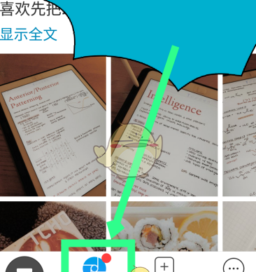 《timing》发布学习日记方法