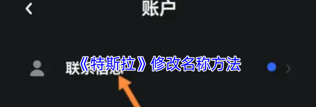 《特斯拉》修改名称方法