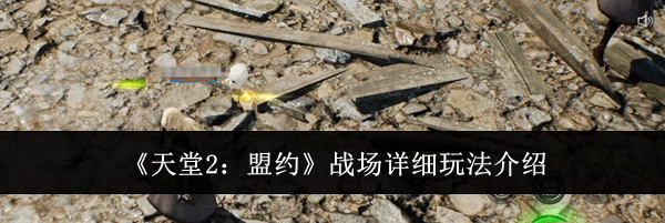 《天堂2：盟约》战场详细玩法介绍