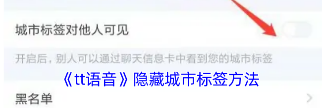 《tt语音》隐藏城市标签方法