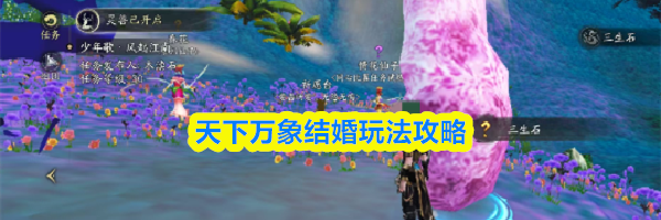 天下万象结婚玩法攻略