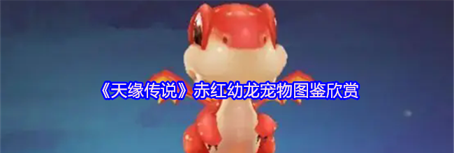 《天缘传说》赤红幼龙宠物图鉴欣赏